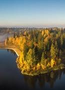 Летняя красота водоемов